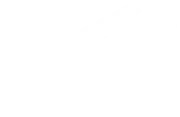 Podcast Advanced Ornament